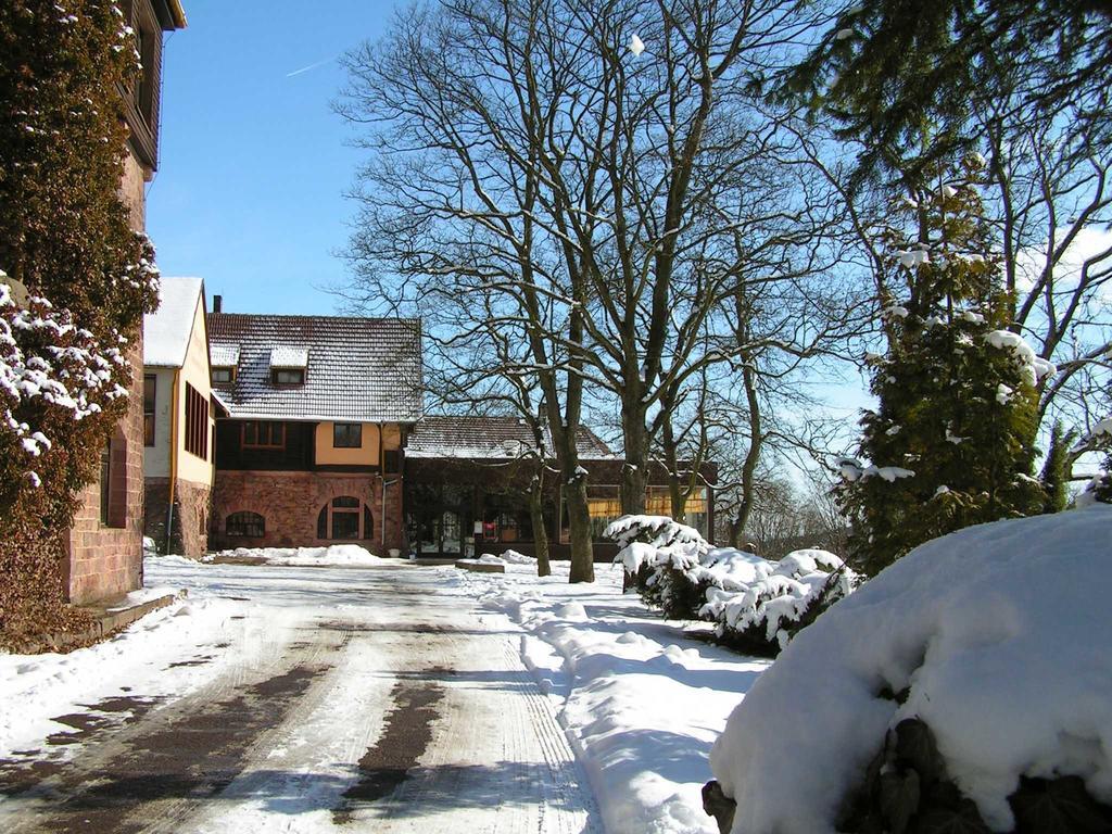 Burghof Kyffhaeuser Bad Frankenhausen Extérieur photo